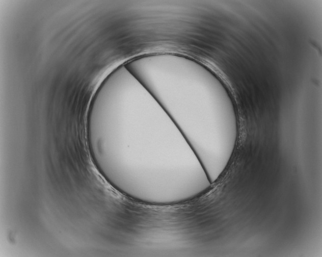 X0000102260996200808221411