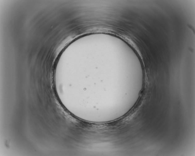 X0000102260997200808221411