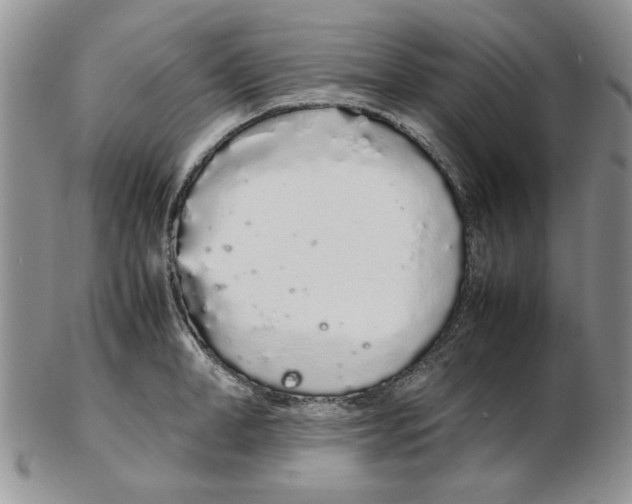 X0000102260998200808221411