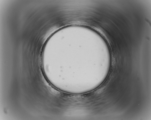 X0000102260999200808221411