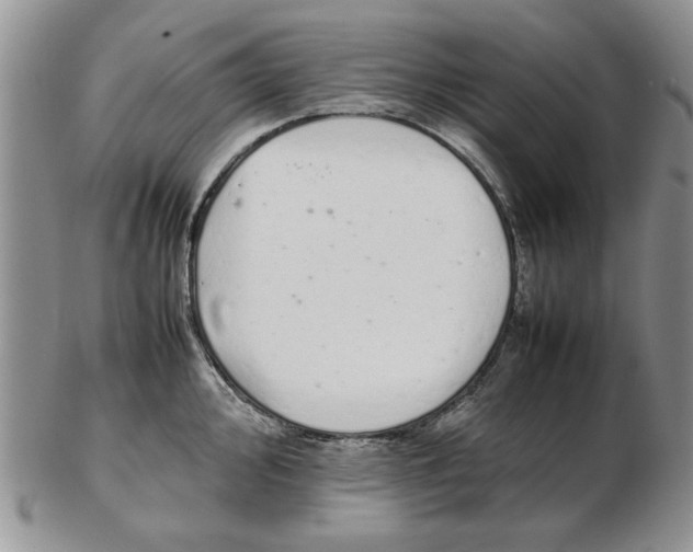 X0000102261000200808221411