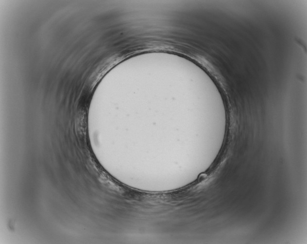 X0000102261001200808221411