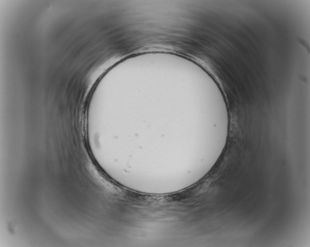 X0000102261003200808221411