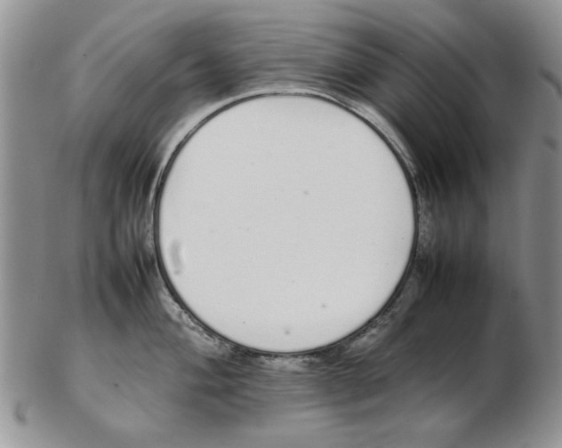 X0000102261004200808221411