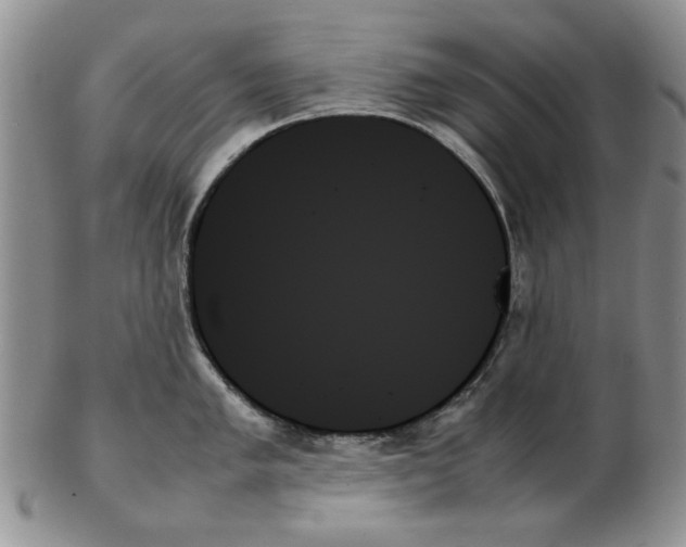X0000102261005200808221411