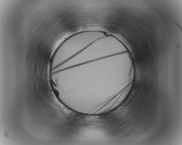 X0000102261006200808221411