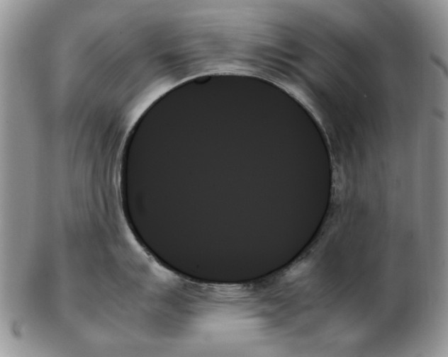 X0000102261007200808221411