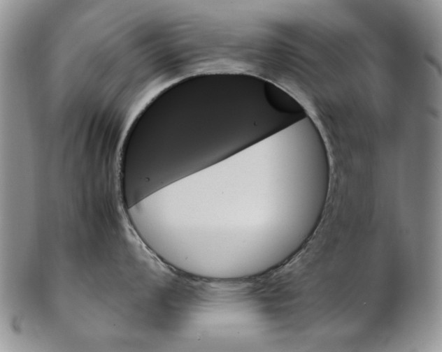 X0000102261008200808221411