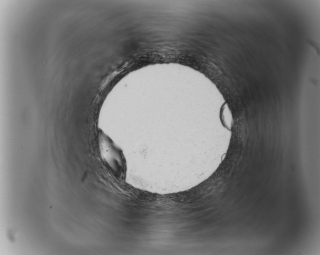 X0000102261009200808221410