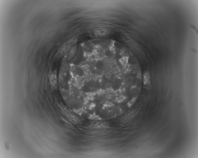 X0000102261011200808221410