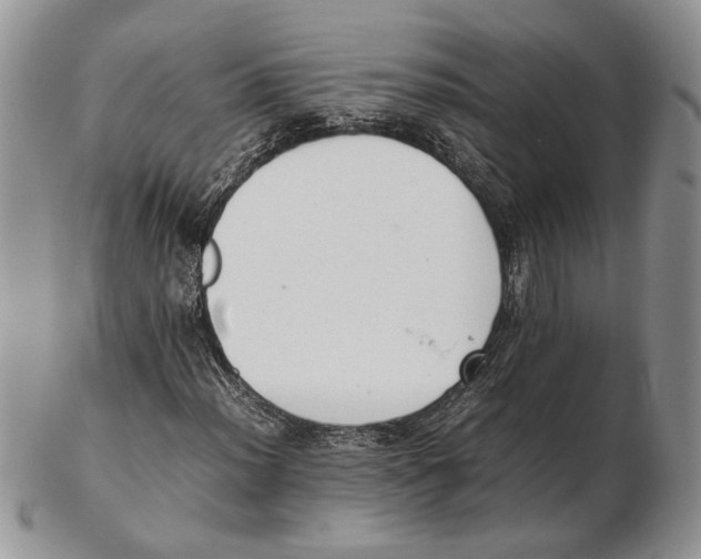 X0000102261012200808221410
