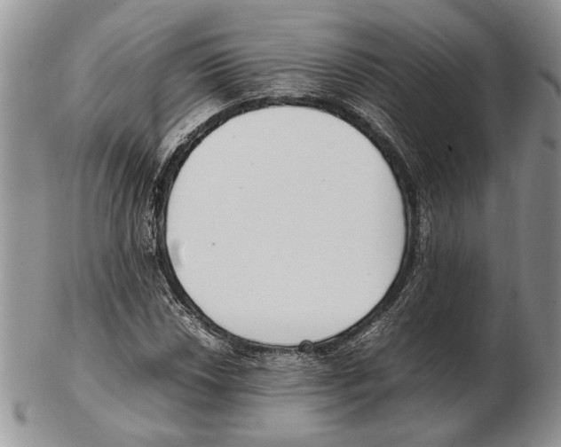 X0000102261018200808221410