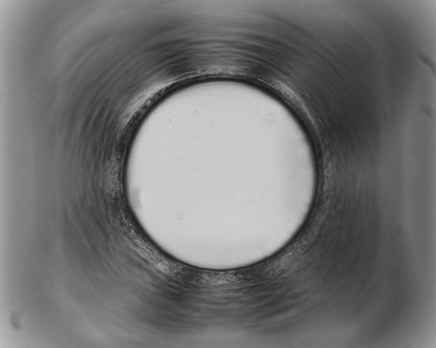 X0000102261019200808221410