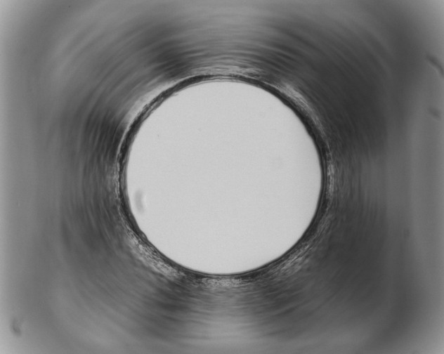 X0000102261020200808221410