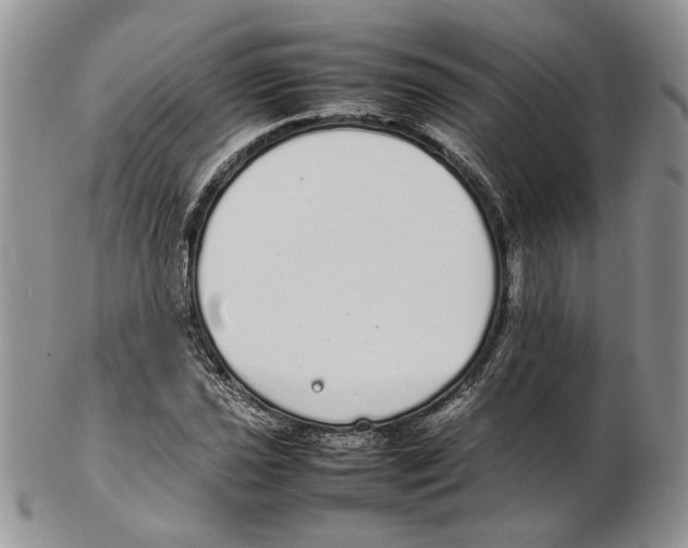 X0000102261021200808221410