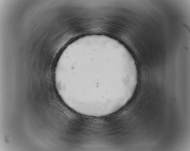 X0000102261023200808221410