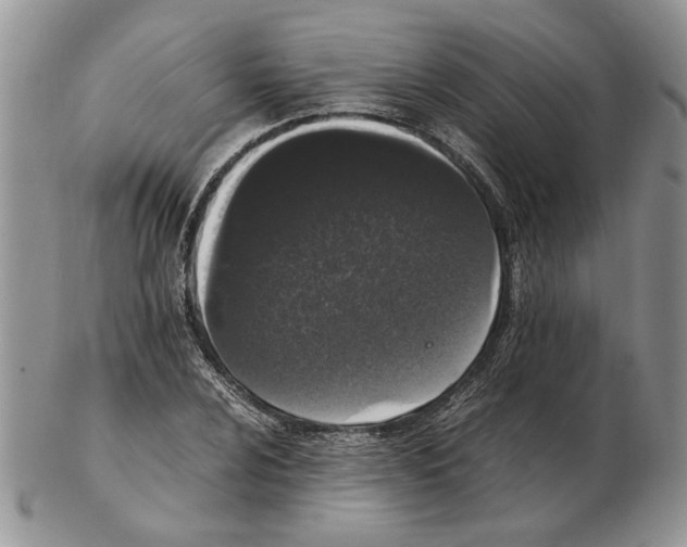 X0000102261024200808221410