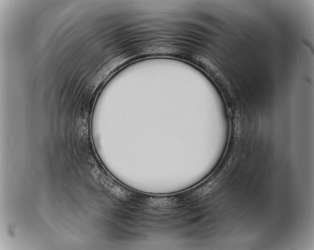 X0000102261025200808221410