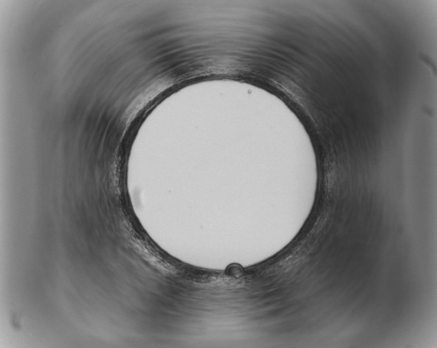 X0000102261026200808221410
