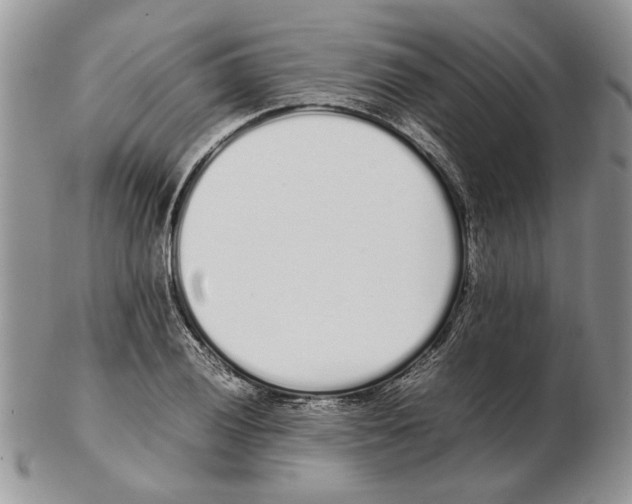 X0000102261028200808221410