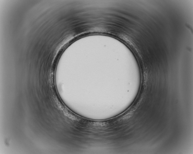 X0000102261029200808221410