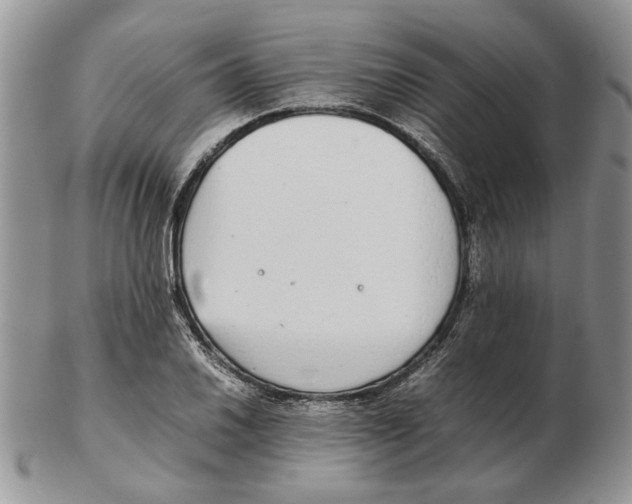 X0000102261030200808221410