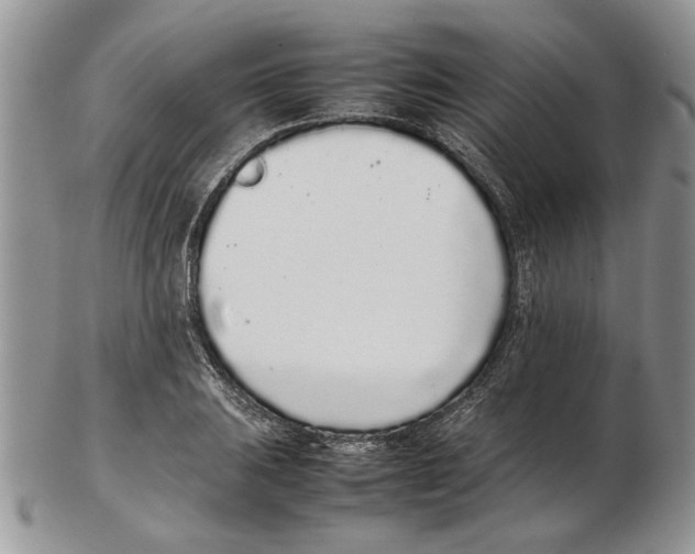 X0000102261031200808221410