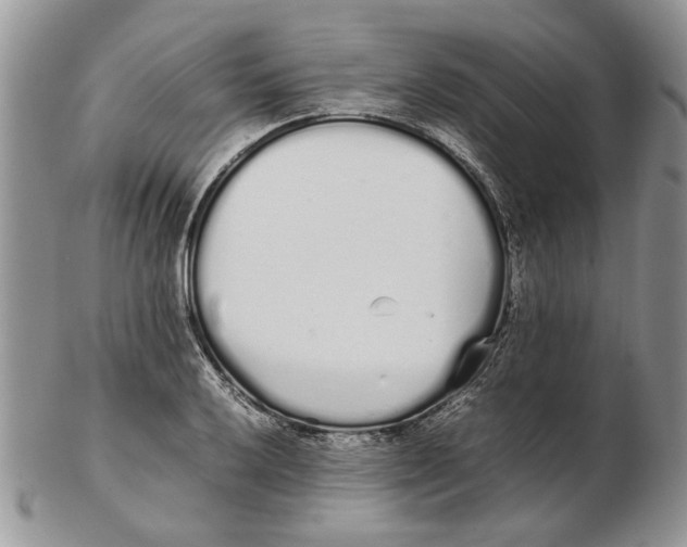 X0000102261032200808221410