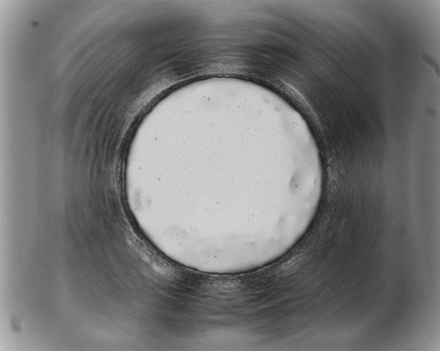 X0000102261035200808221410