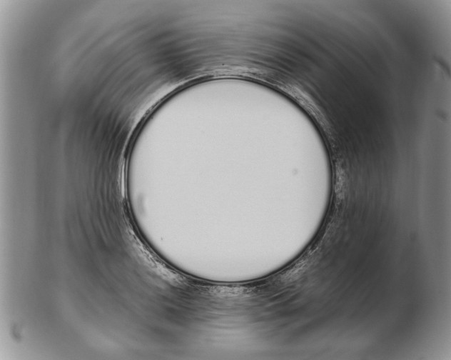 X0000102261036200808221410