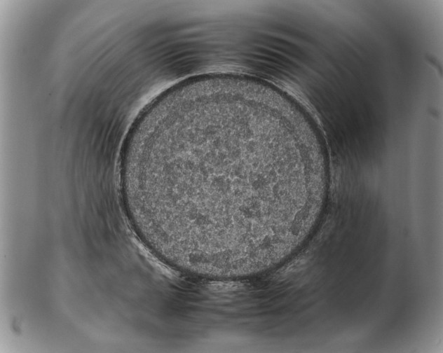 X0000102261037200808221410