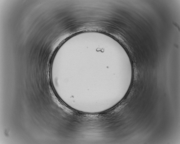 X0000102261038200808221410