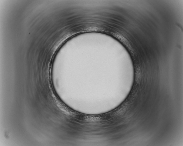 X0000102261039200808221410