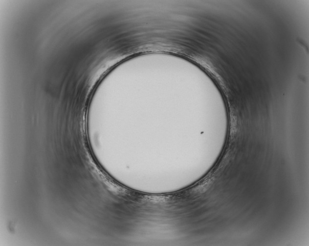 X0000102261040200808221410