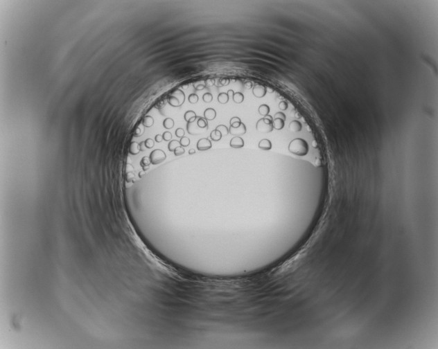 X0000102261041200808221410