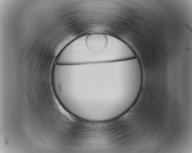 X0000102261042200808221410