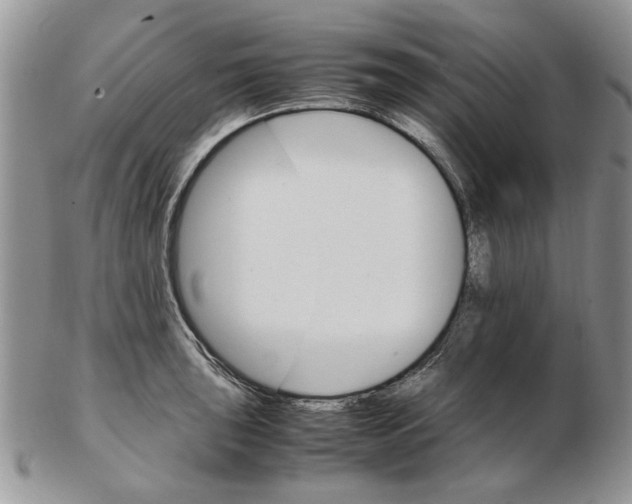 X0000102261043200808221410