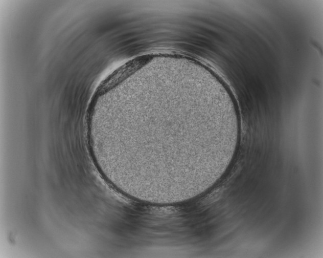 X0000102261045200808221411