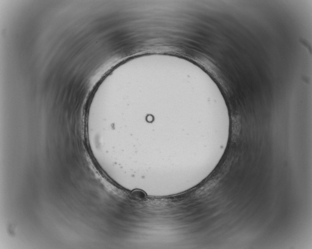 X0000102261046200808221411