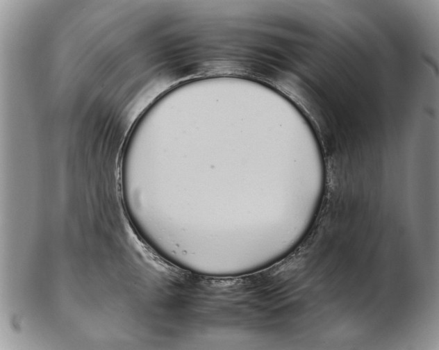 X0000102261047200808221411