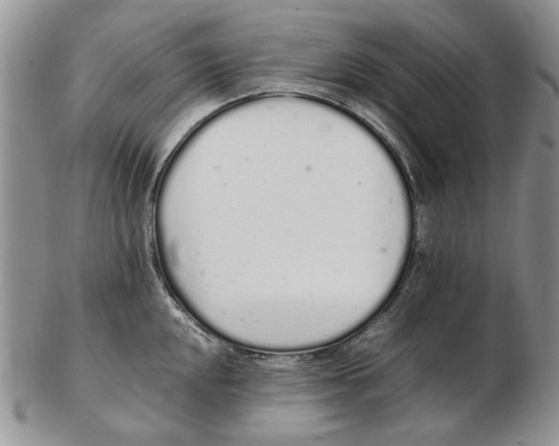 X0000102261048200808221411