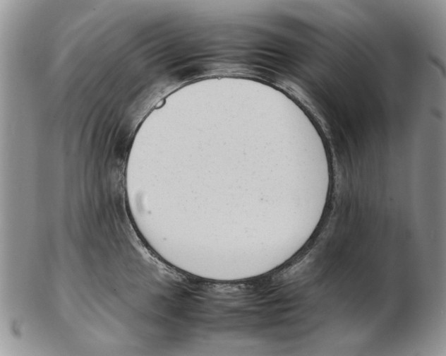 X0000102261049200808221411