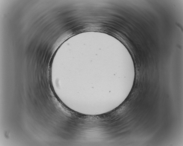 X0000102261050200808221411