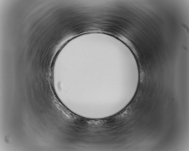 X0000102261051200808221411