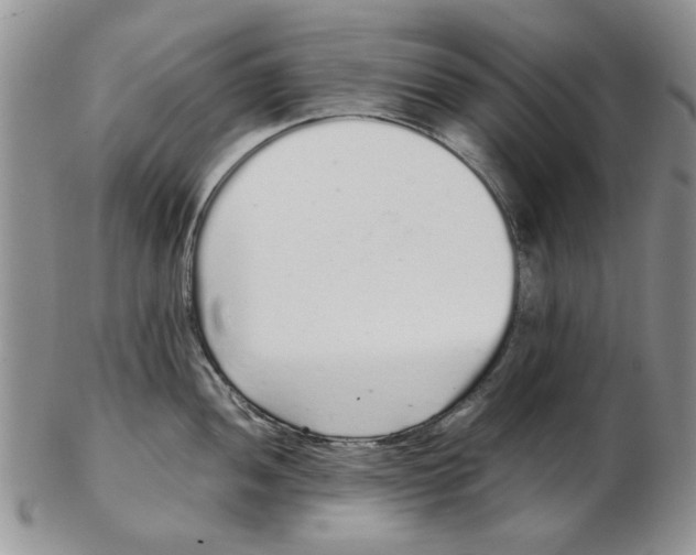 X0000102261052200808221411