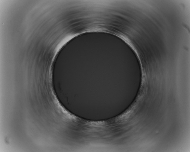 X0000102261053200808221411