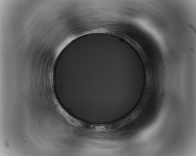 X0000102261054200808221411