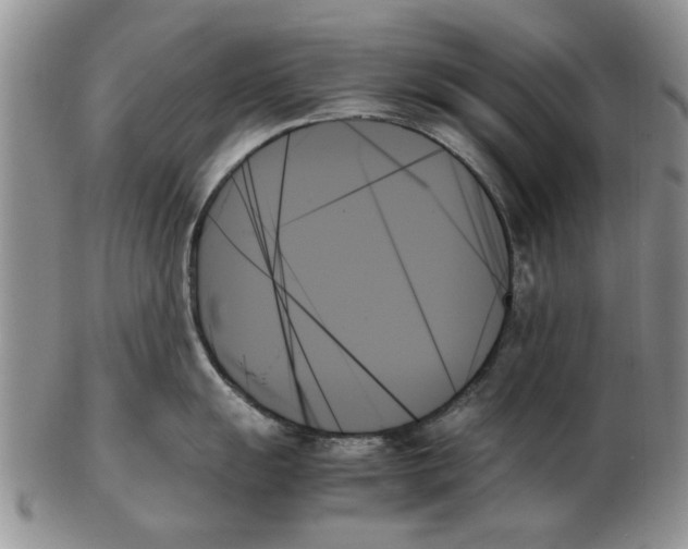X0000102261055200808221411