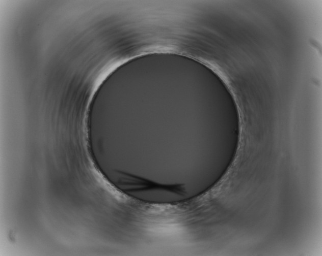 X0000102261056200808221411