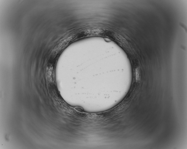 X0000102261059200808221410